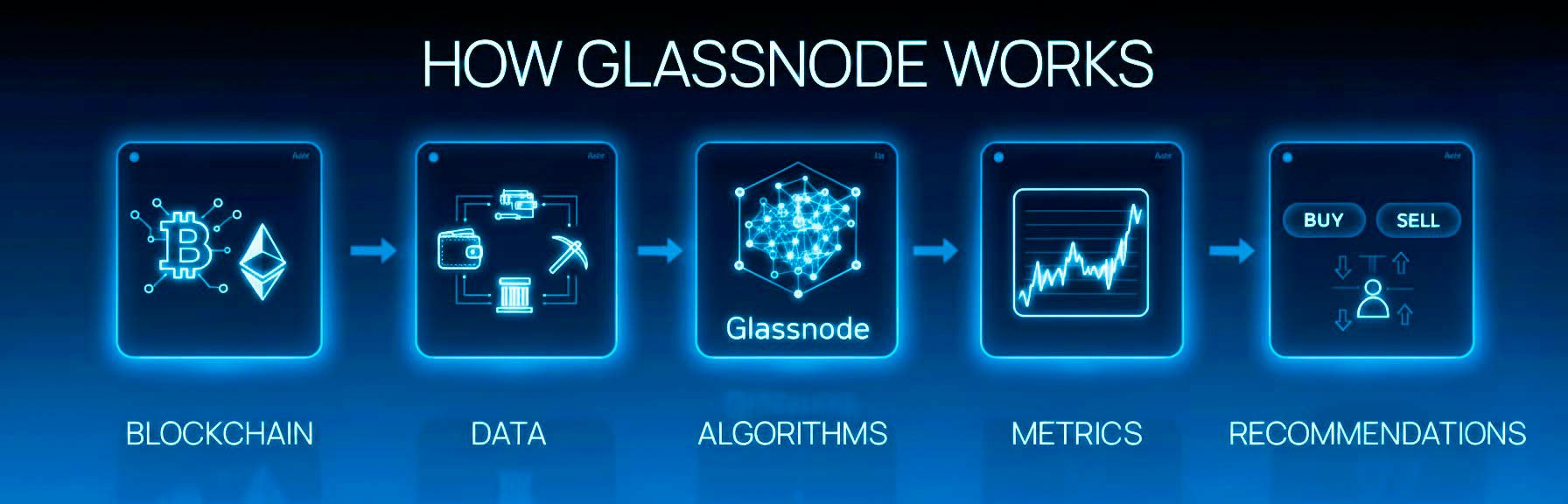 Glassnode 1