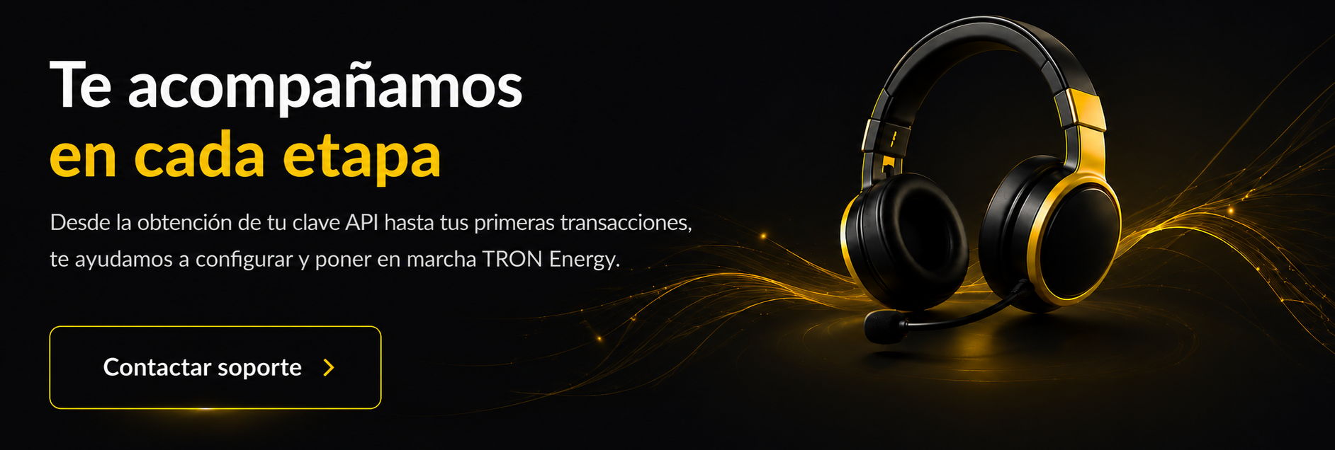 API TRON ENERGY