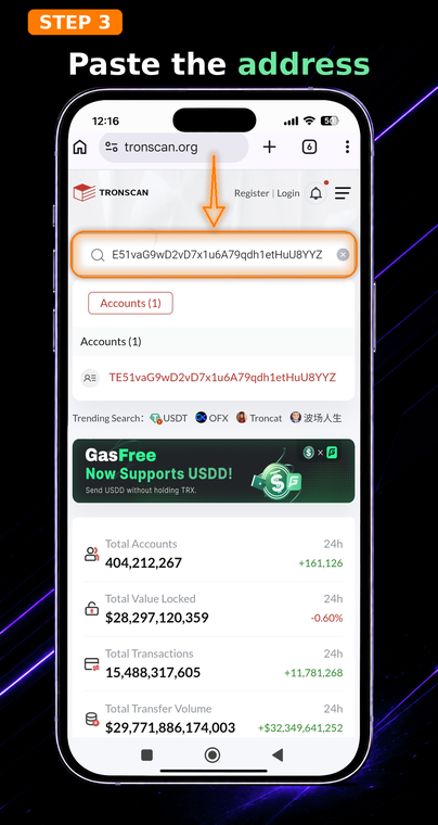 Paste the address. On the website's main page, find the search bar at the top. Paste your previously copied public wallet address into it.